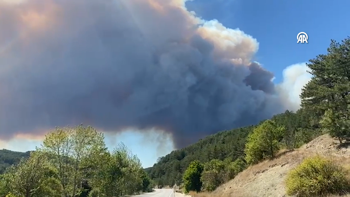 Bolu'nun Göynük İlçesinde Orman Yangını