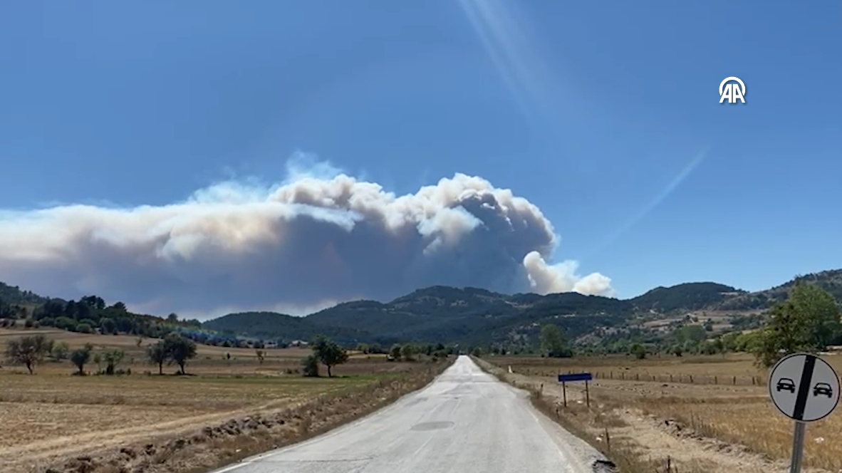 Bolu Göynük'te Orman Yangını Çıktı