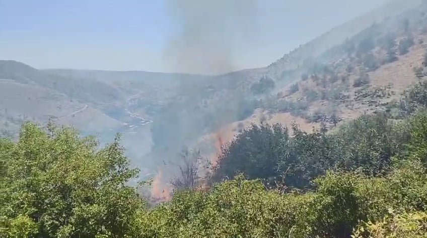 Çüngüş'te Orman Yangını: Müdahale ve Etkileri