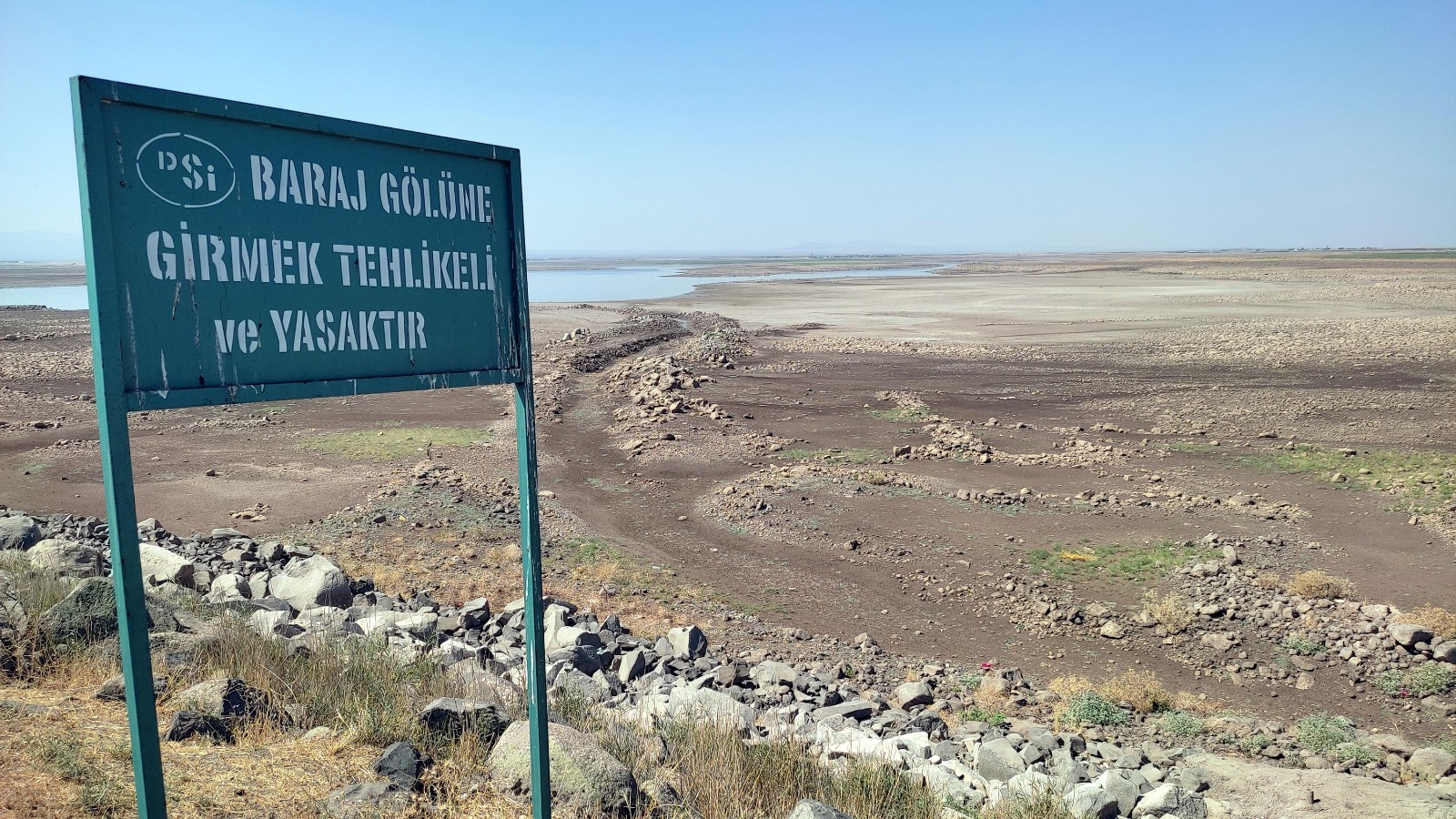 Diyarbakır Devegeçidi Barajı'nda Asya Sazanı Ölümleri Tespit Edildi