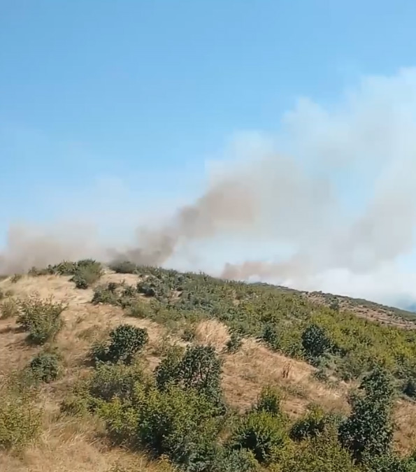 Edirne'de Orman Yangını