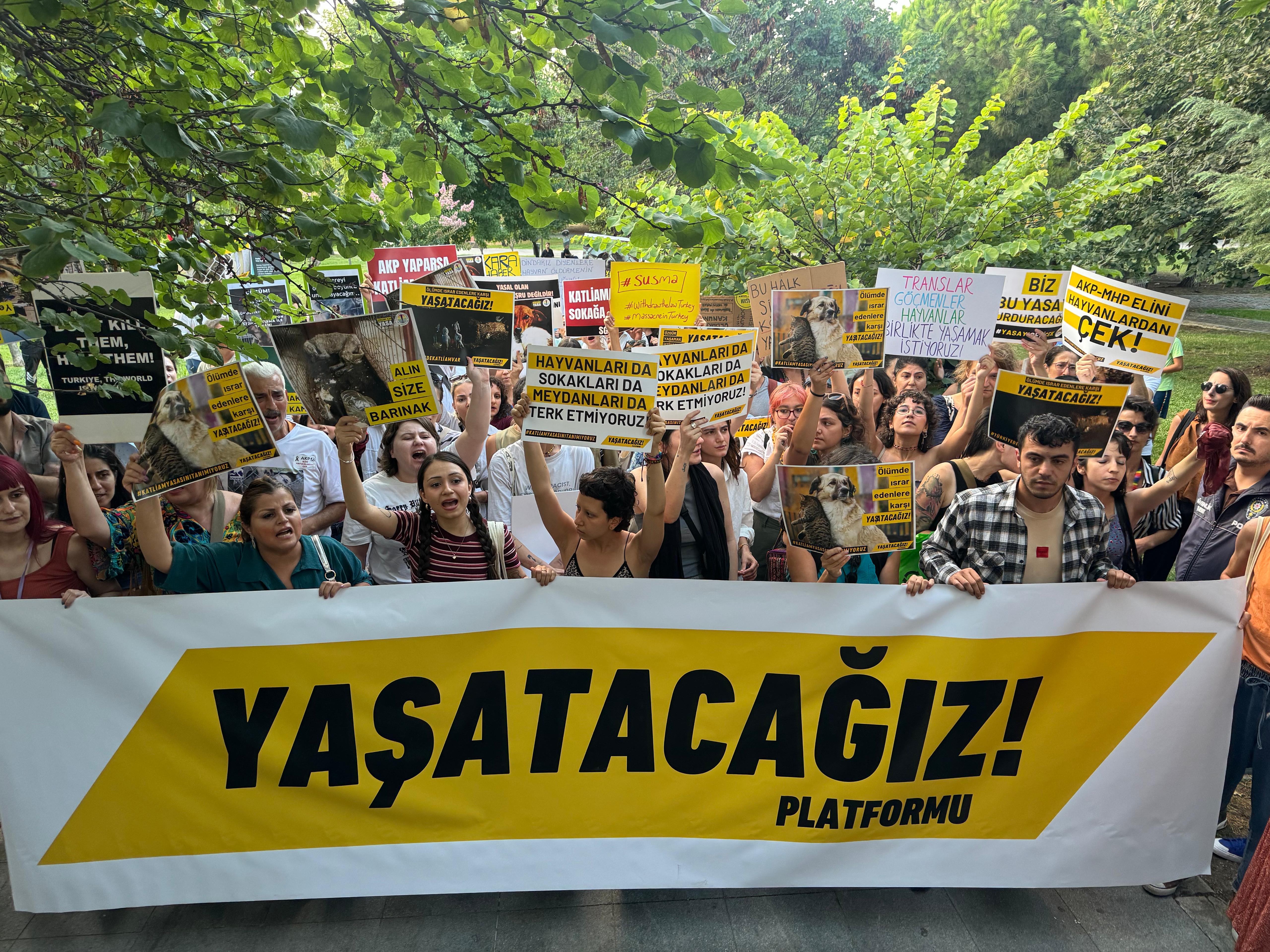 İstanbul'da Hayvanları Koruma Eylemi