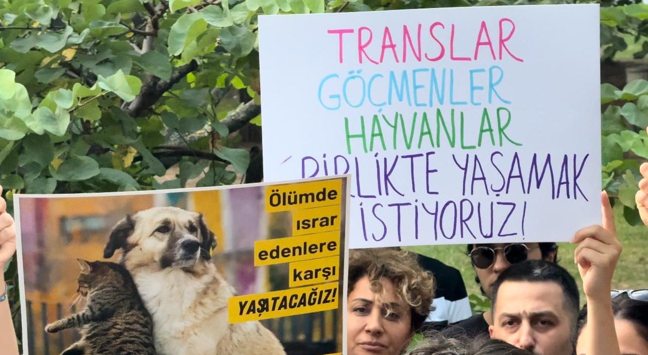 İstanbul'da Hayvanları Koruma Eylemi: Katliam Yasası Protestosu