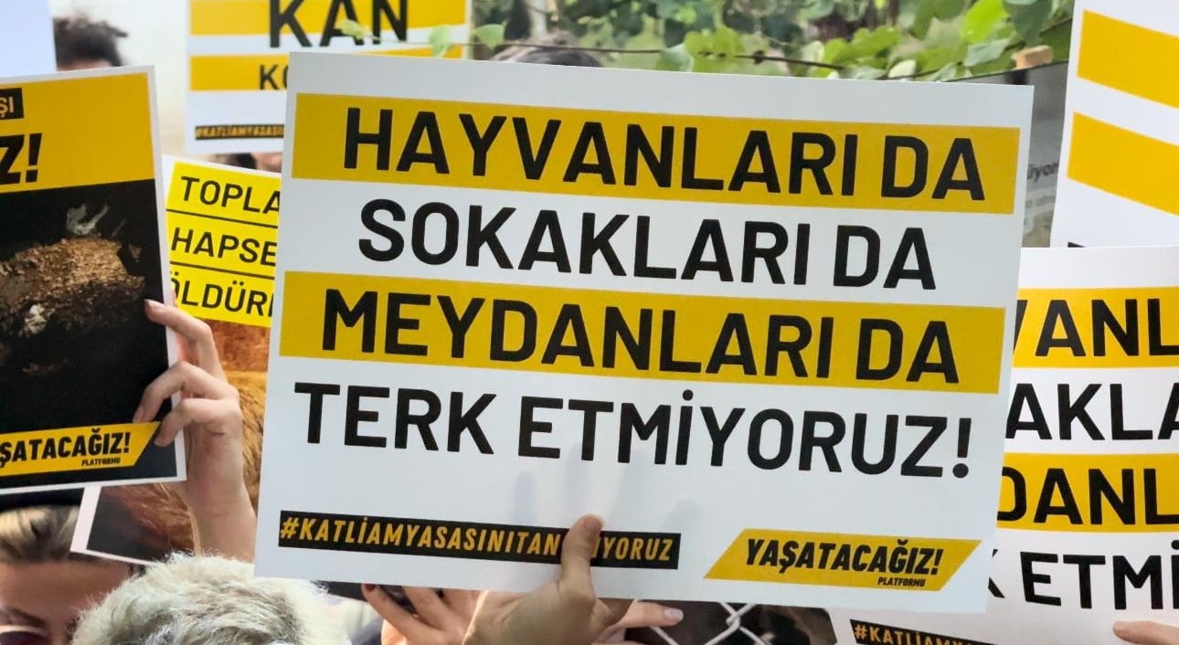 İstanbul'da Hayvanları Koruma Eylemi: Katliam Yasası Protestosu