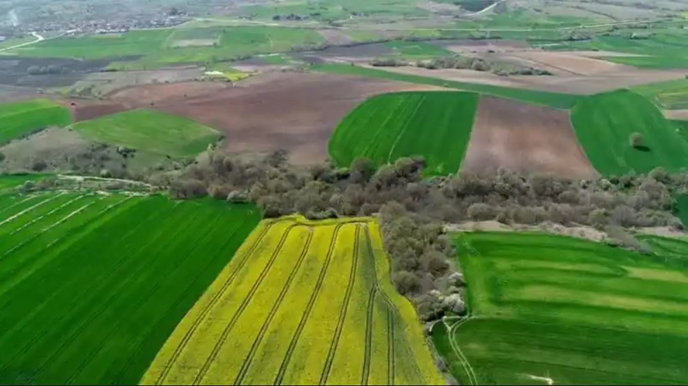 Tarım arazilerinden düzenli gelir fırsatı