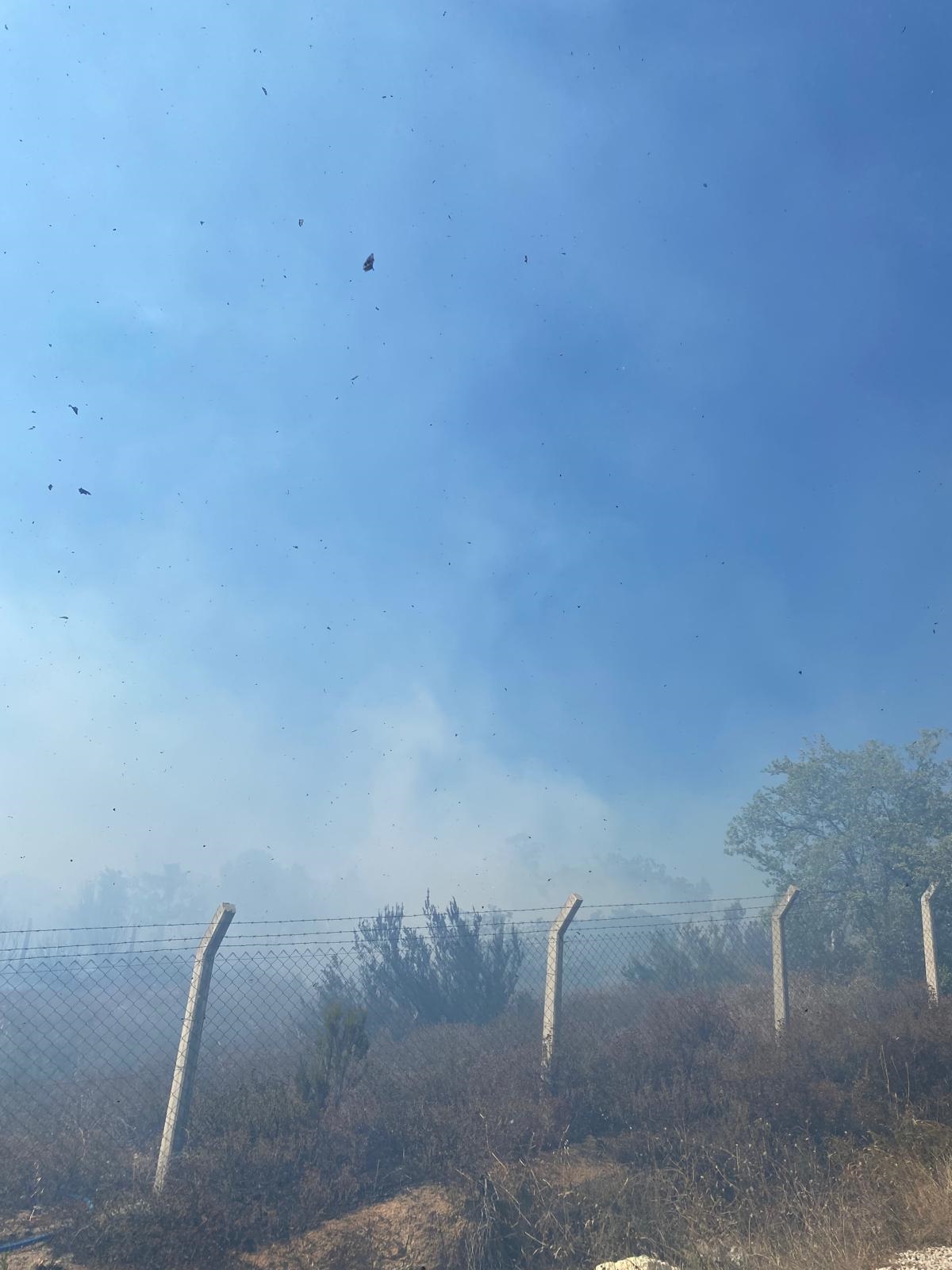 Çanakkale'deki Yangın ve Sonrası