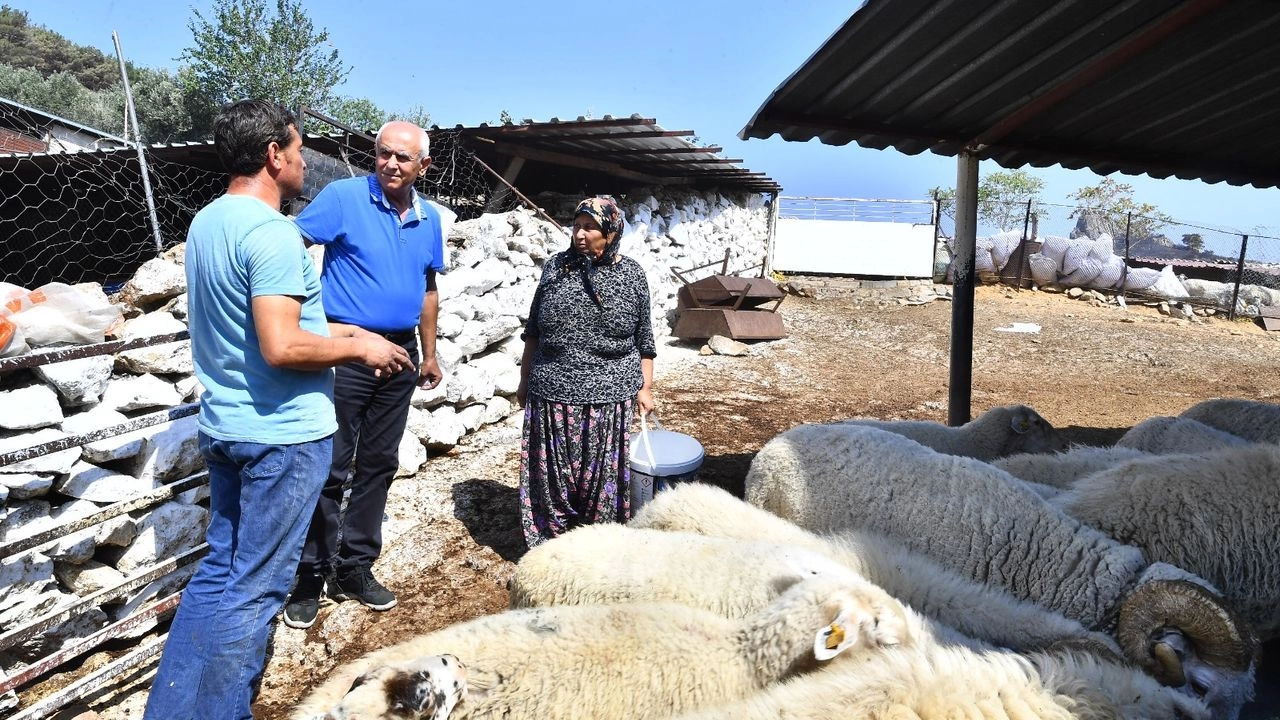 Yerel Muhtar ve Üreticilerin Görüşleri