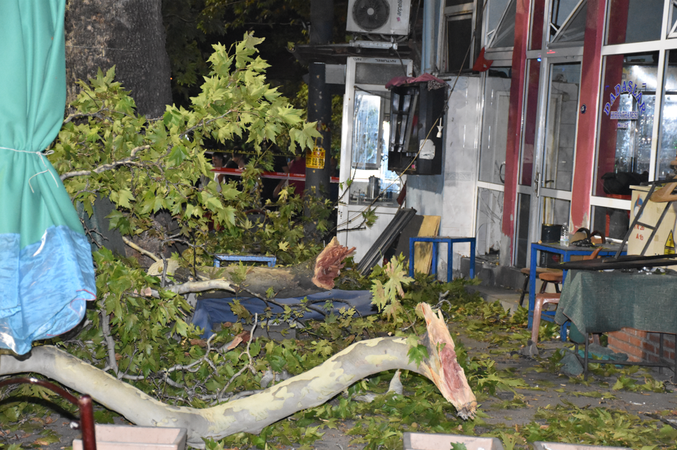 İzmir Kemalpaşa'da Asırlık Çınar Ağacının Düşmesi Sonucu Yaralanmalar