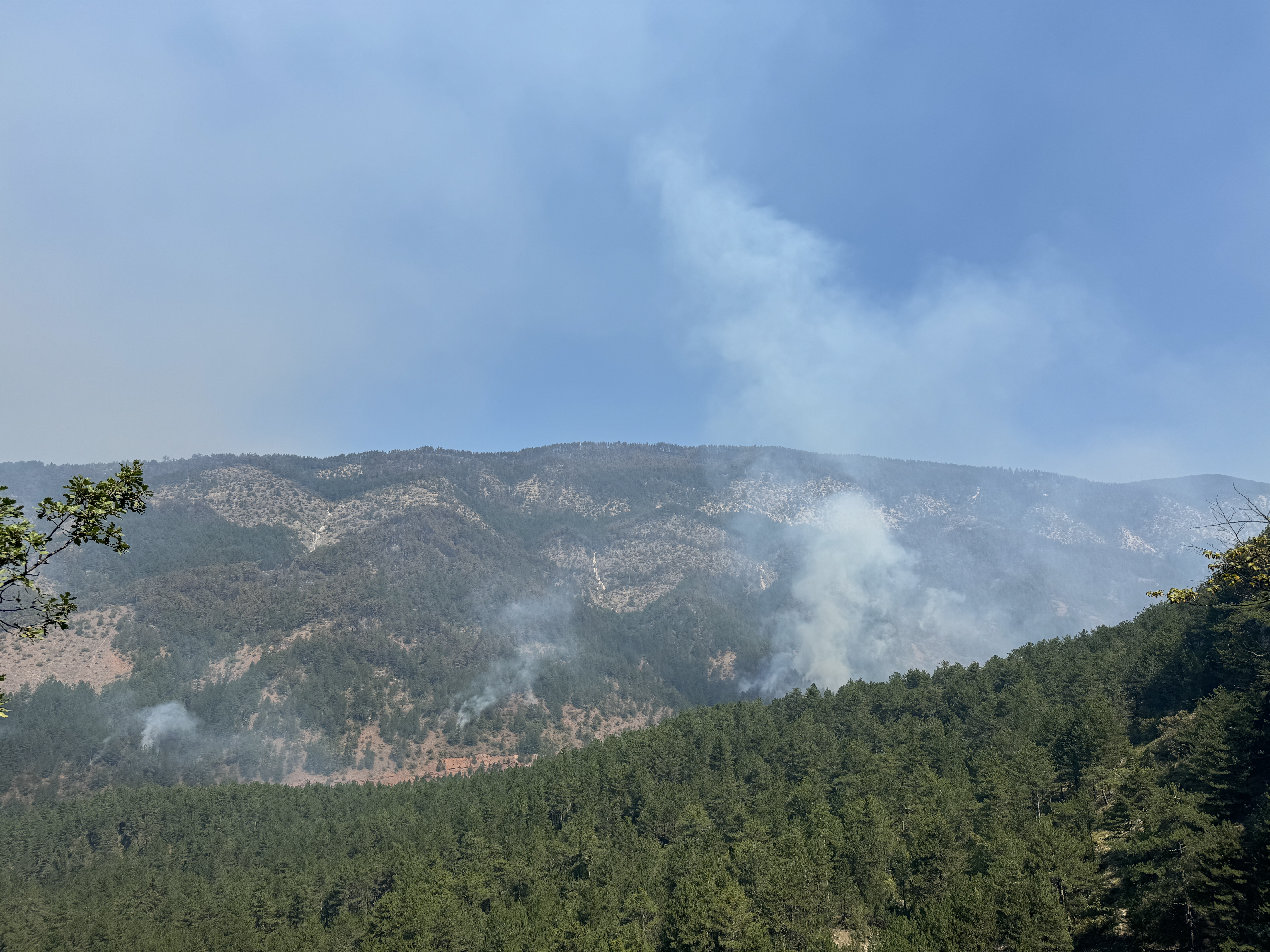 Karabük'teki Orman Yangınına Müdahale Devam Ediyor