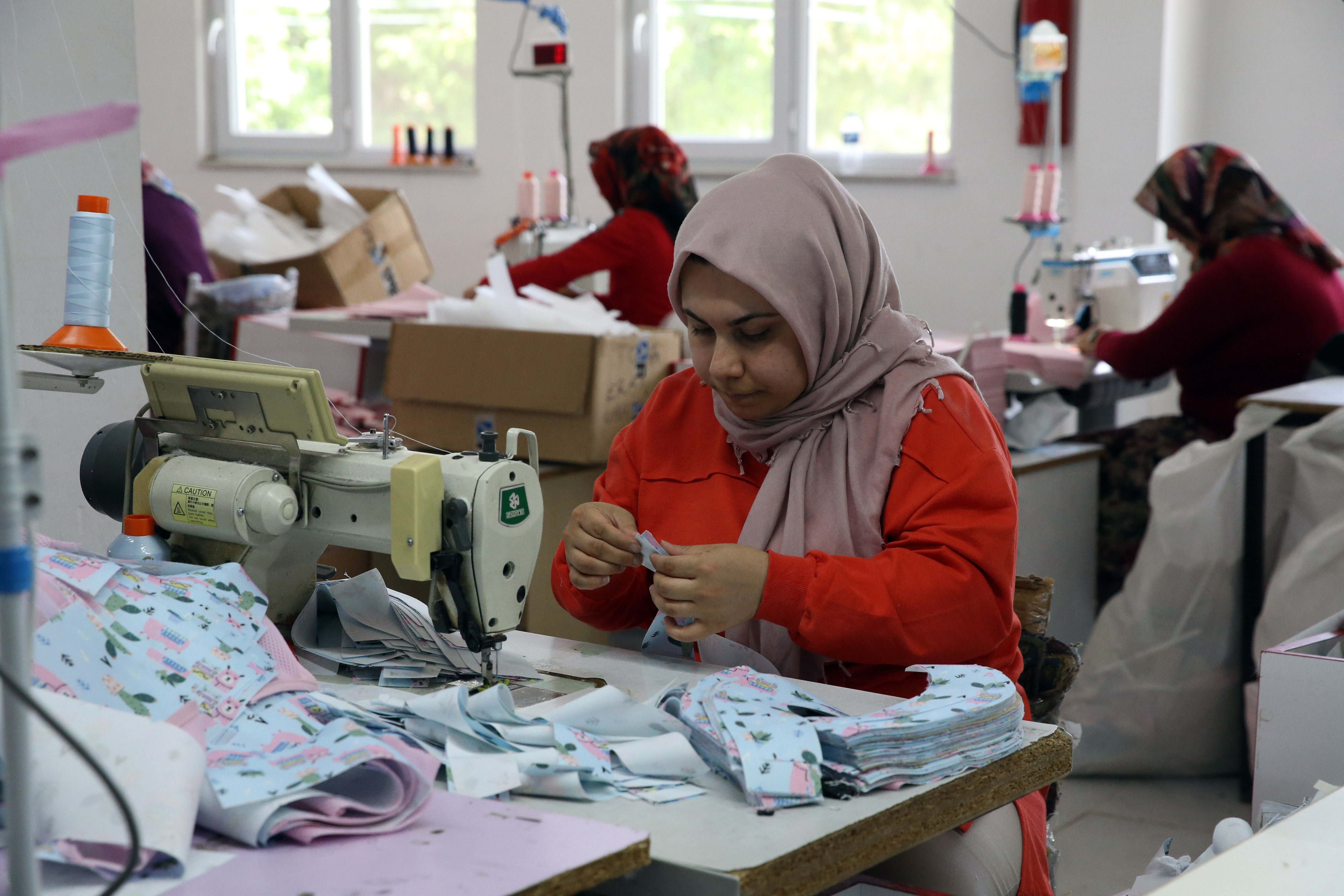 Kastamonu'daki Ekincik Köyü'nde Bir Başarı Hikayesi