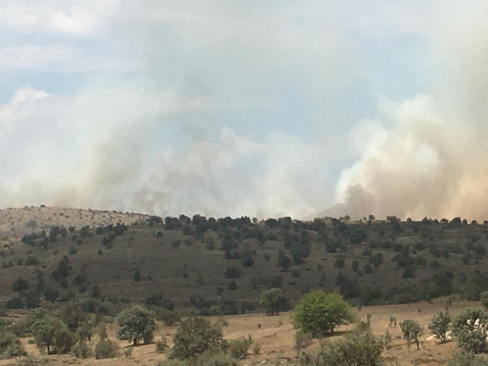 Ankara'nın Kızılcahamam İlçesinde Orman Yangını