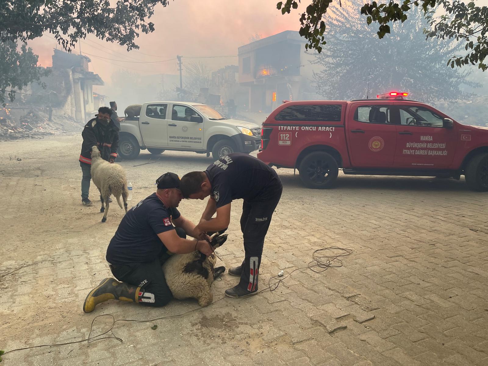 Manisa'da Orman Yangınlarıyla Mücadele Devam Ediyor