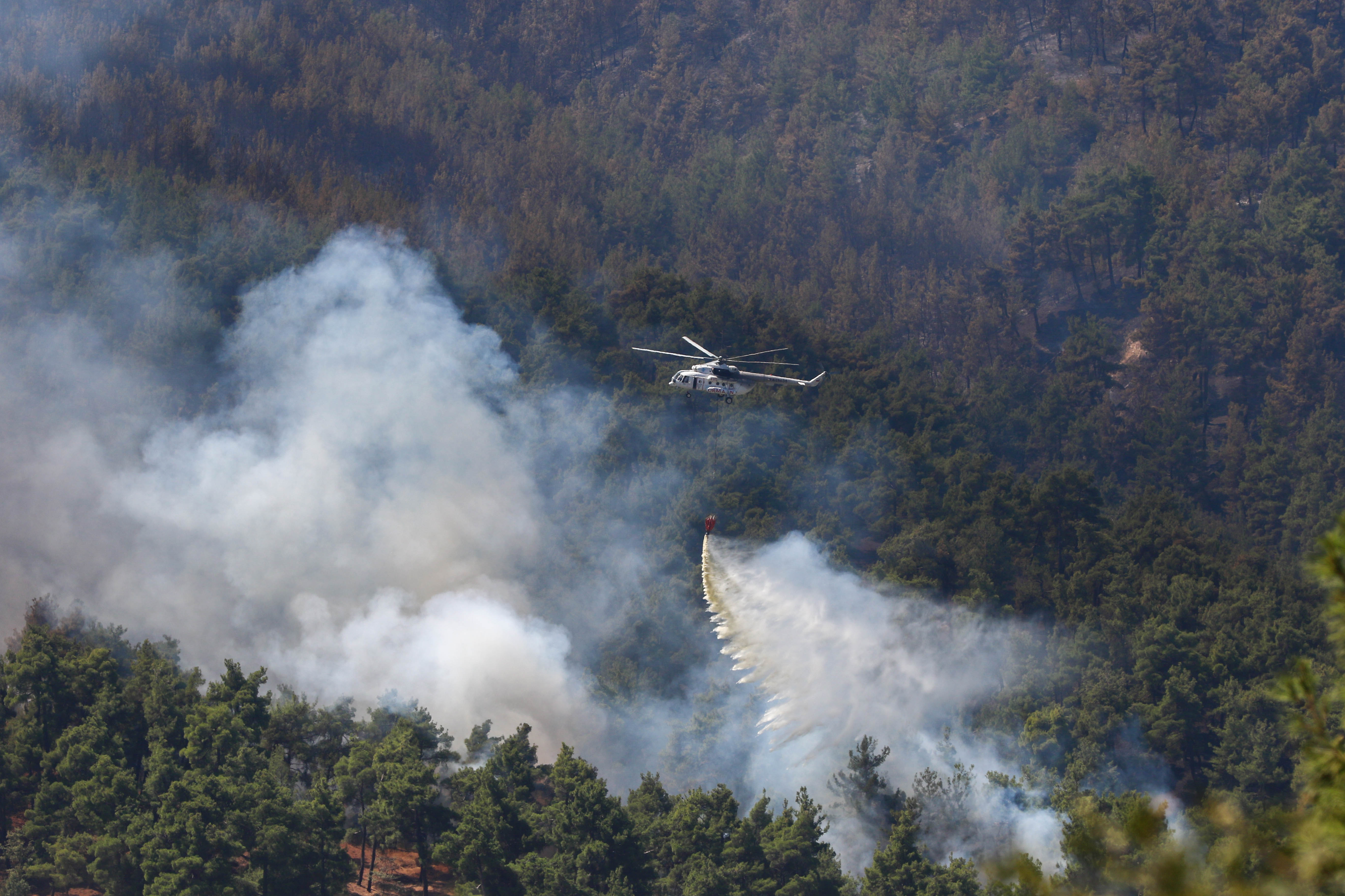 Muğla'da Orman Yangını