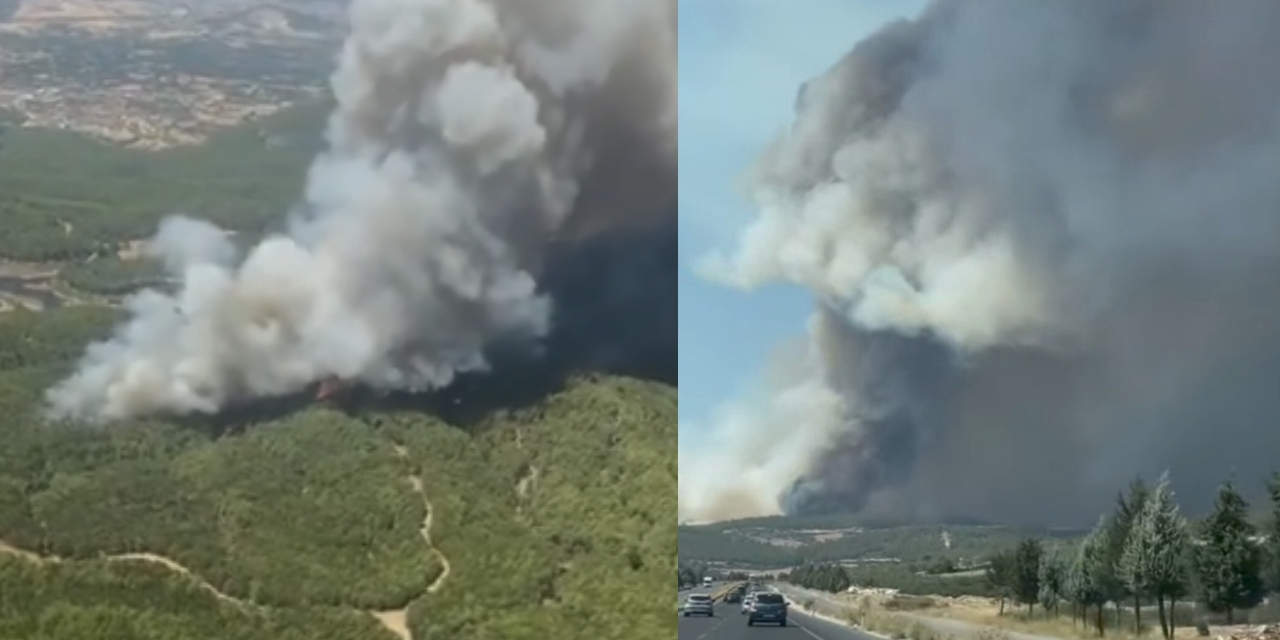 Muğla'da Orman Yangını Paniğe Neden Oldu