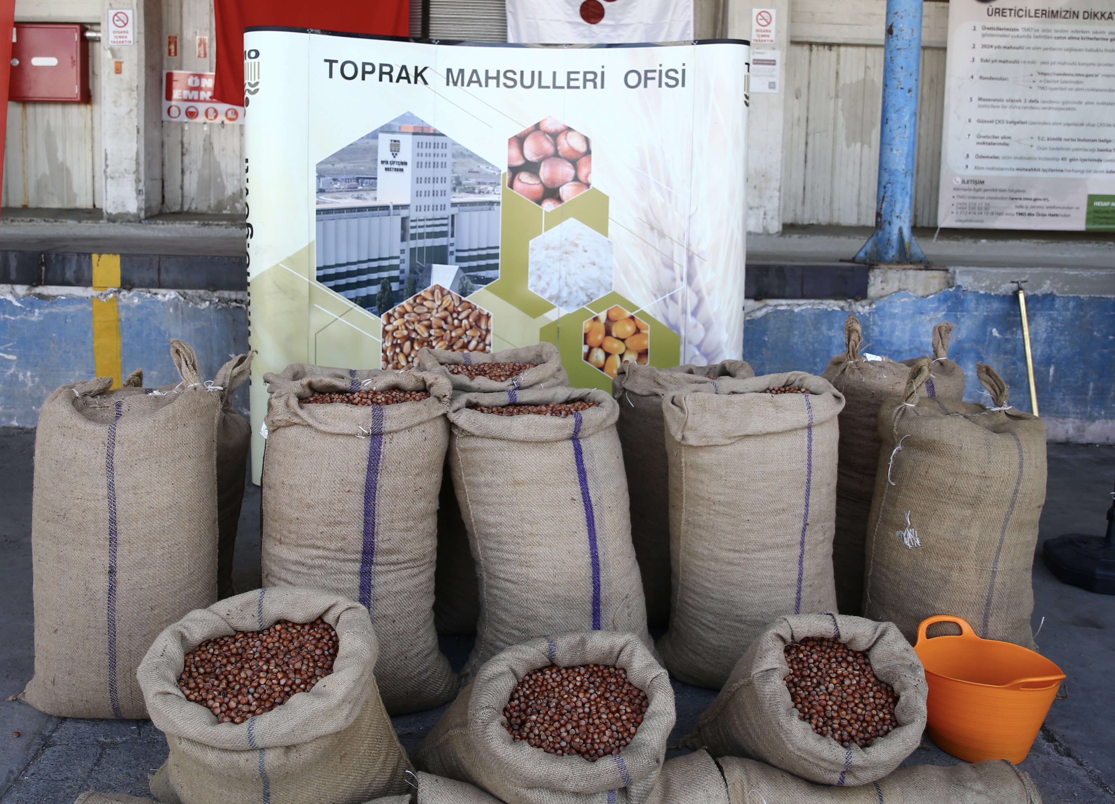 Fındık Alımları İçin TMO Tören Düzenledi