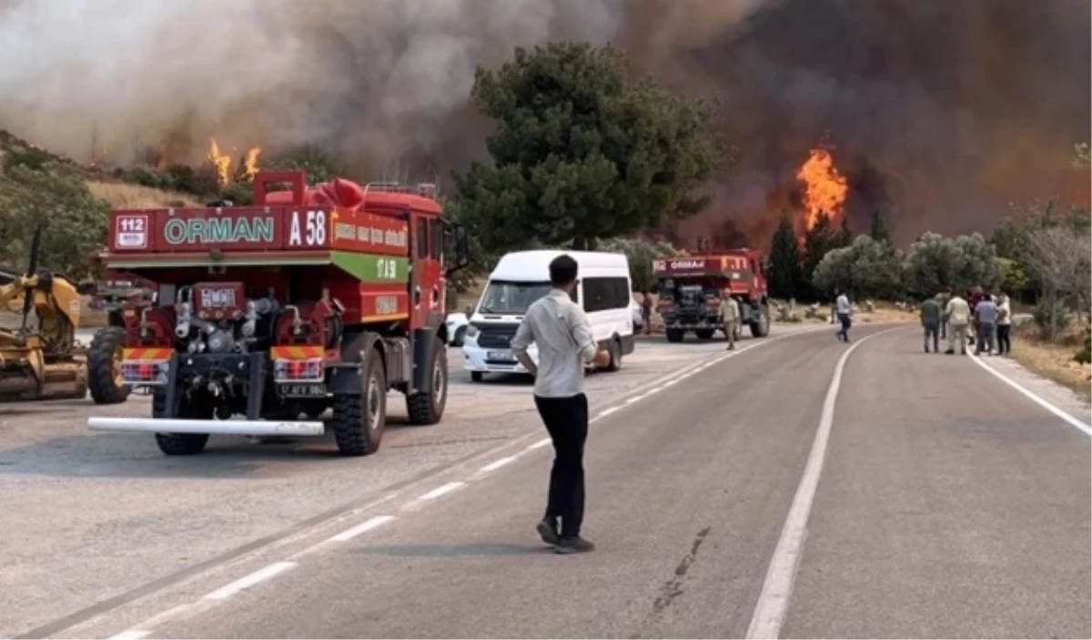 Türkiye'deki Orman Yangınları: İzmir, Bolu, Manisa ve Uşak'ta Durum Raporu