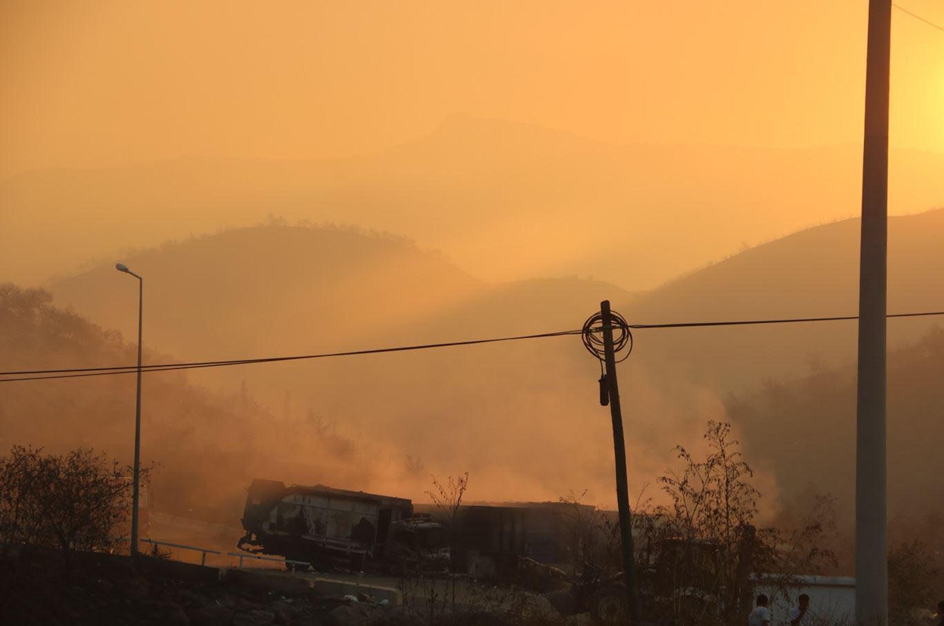 Türkiye'deki Orman Yangınları: İzmir, Manisa, Bolu ve Muğla'daki Durum