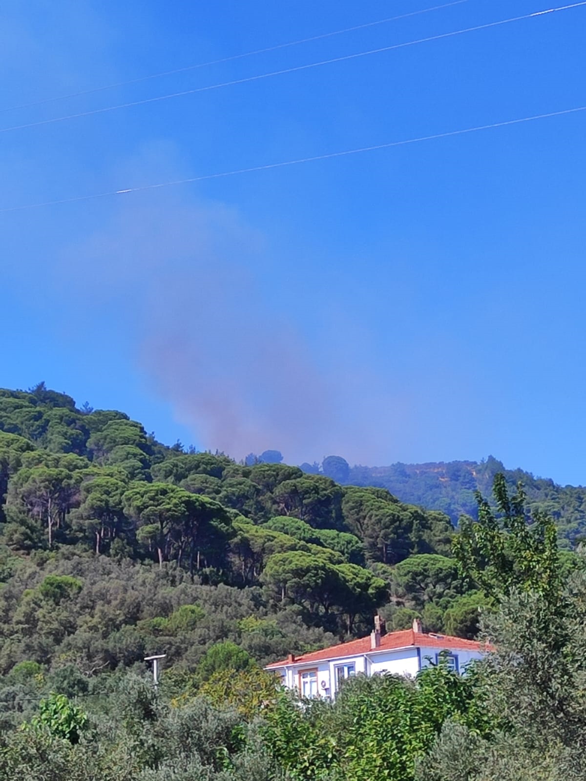 Yalova'da Yangın Alarmı