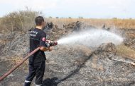 Antalya'nın Serik İlçesinde Yangın: 70 Dönüm Zarar Gördü