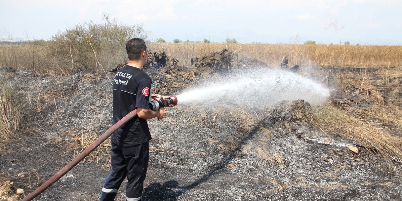 Antalya'nın Serik İlçesinde Yangın: 70 Dönüm Zarar Gördü