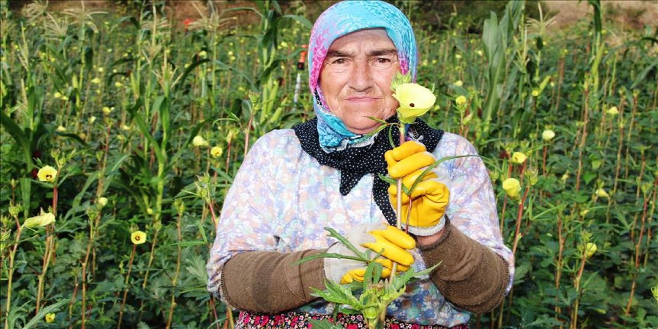 Bamya Fiyatları ve Enflasyon Üzerine Açıklamalar