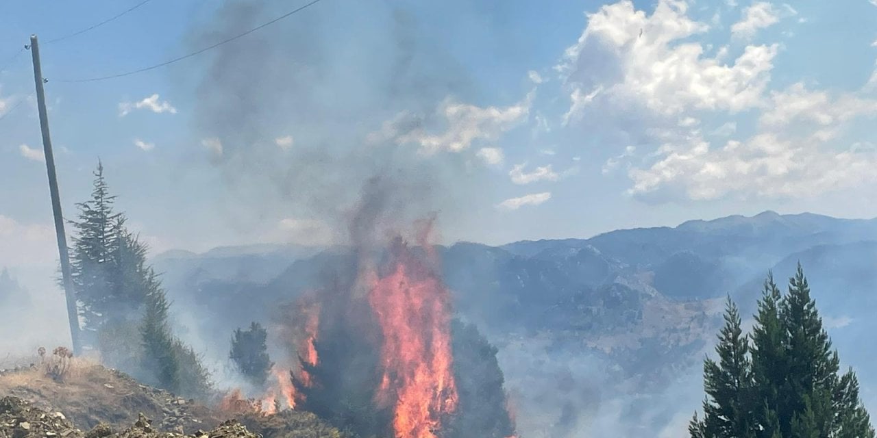 Çanakkale'de Orman Yangını: Ekipler Mücadele Ediyor