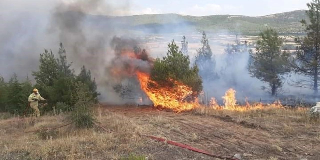 Denizli Pamukkale'de Orman Yangını Çıktı