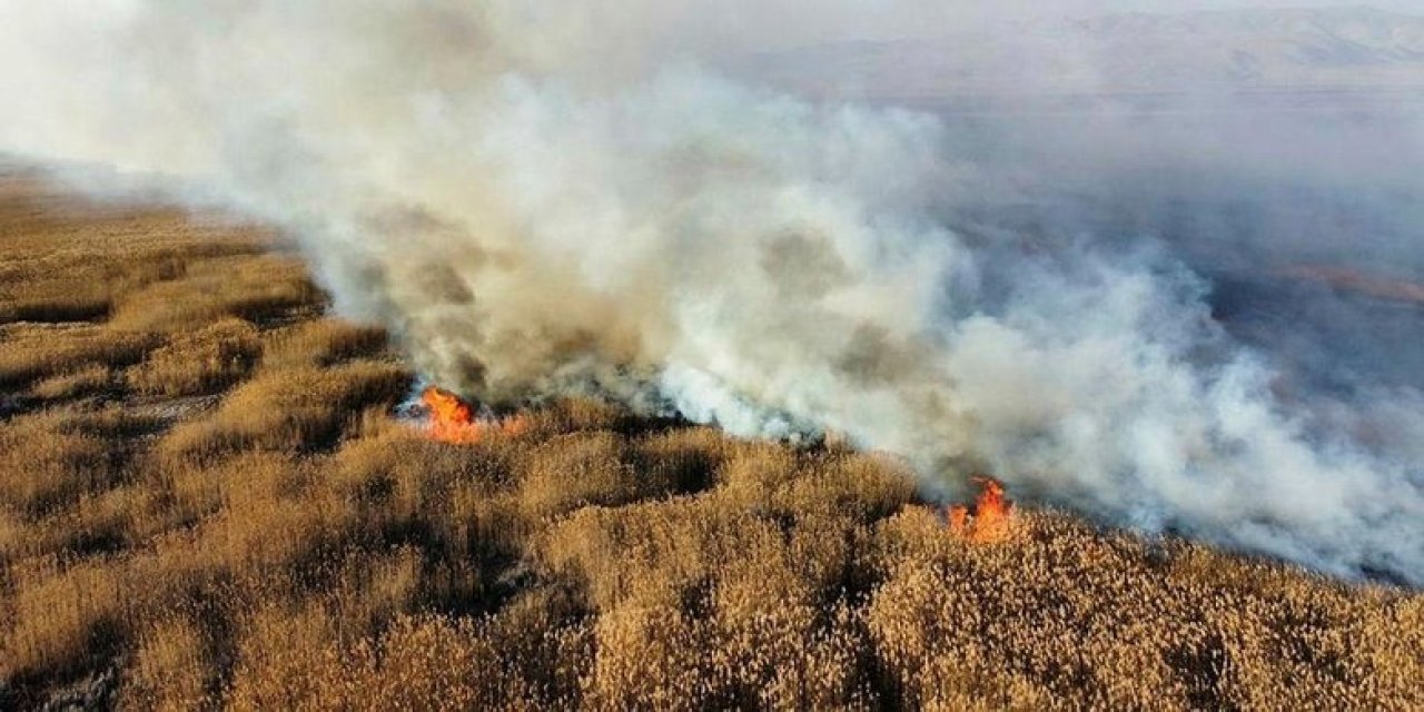 Eber Gölü'nde Yangın Alarmı: Sazlık Alanında Tahribat