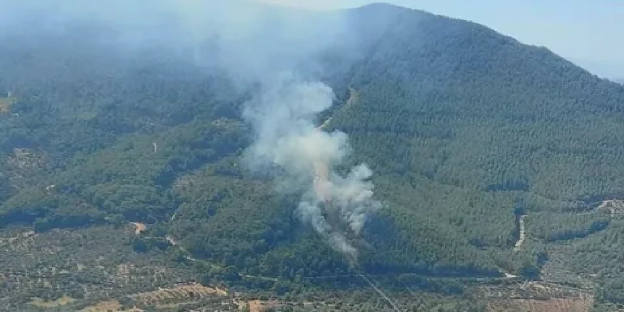 Kemalpaşa'da Orman Yangını ve Müdahale Süreci