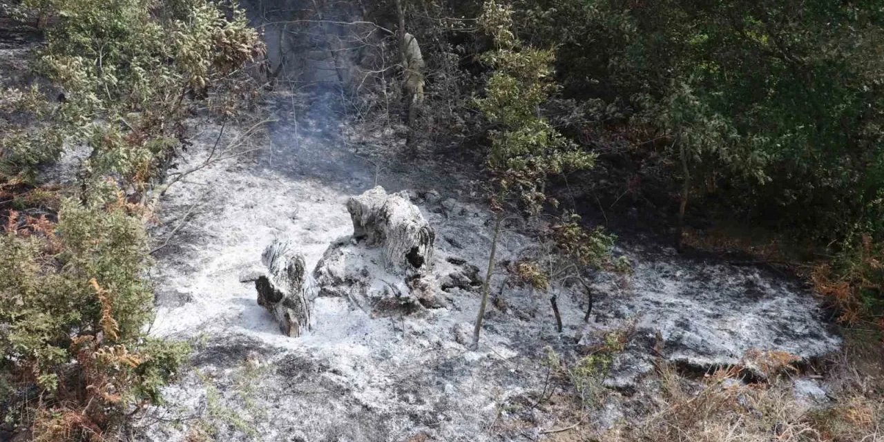 Kıroğlu Mahallesi'nde Yangın Paniği: 150 Dekar Alan Kül Oldu