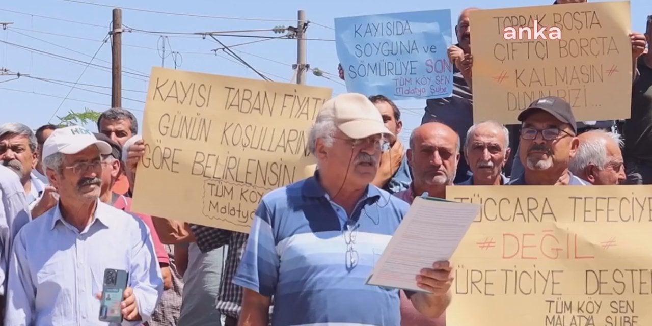 Malatya Kayısı Üreticileri Fiyat Belirsizliğine İsyan Etti