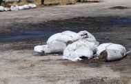 Malatya'da Küspe Kokusuna Tepkiler ve Çözüm Önerileri