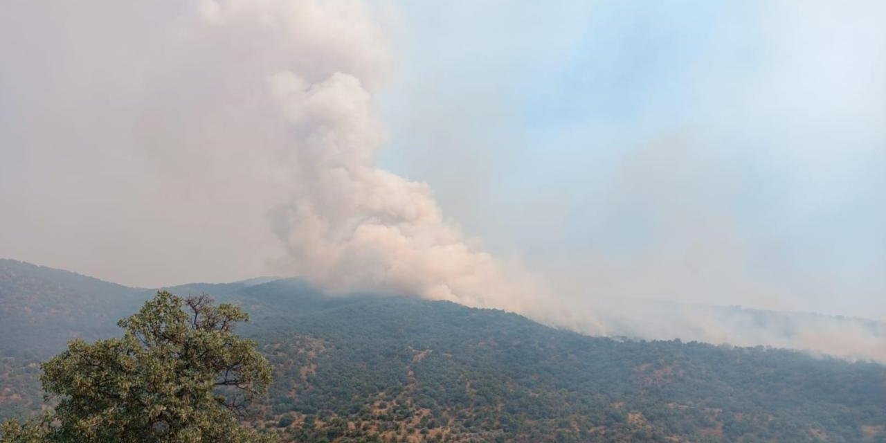 Manisa'da Orman Yangınına Hızlı Müdahale