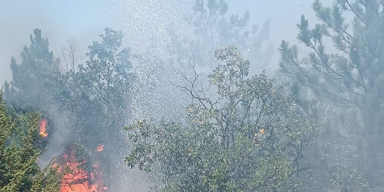 Mersin Silifke'de Orman Yangını