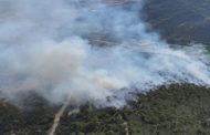 Tokat'ın Turhal İlçesinde Orman Yangını Kontrol Altına Alındı