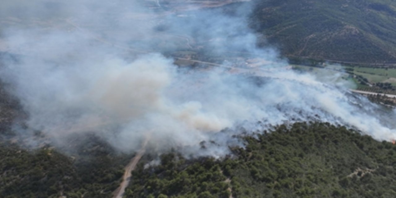 Tokat'ın Turhal İlçesinde Orman Yangını Kontrol Altına Alındı