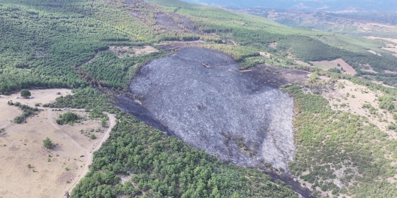 Tokat'ta Orman Yangını Kontrol Altına Alındı