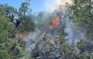 Tunceli'de Zargoviç Ormanı'nda Yangın Kontrol Altına Alındı