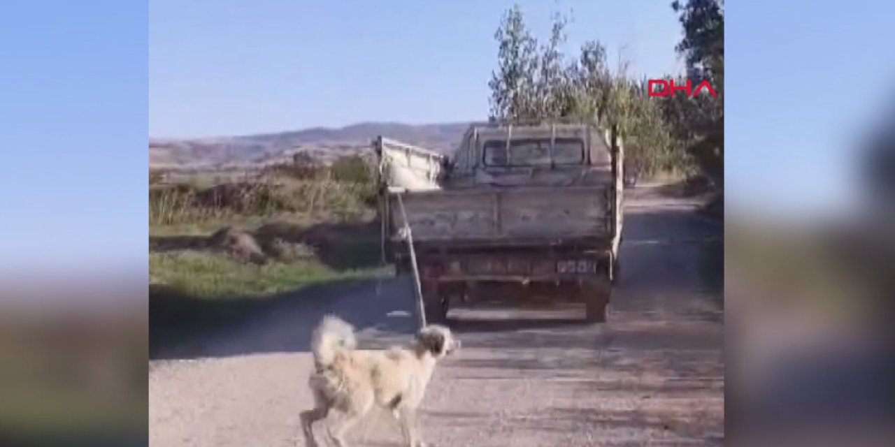 Amasya'da Kamyonetin Arkasında Sürüklenen Köpek Skandalı