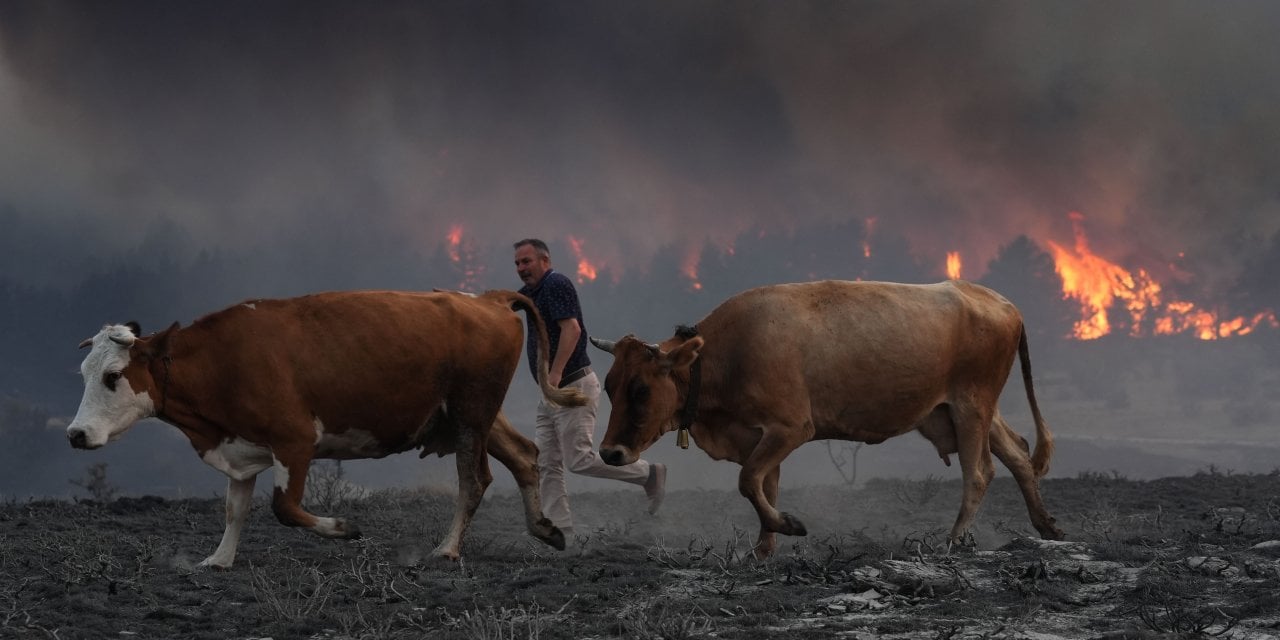 Ankara'nın Kızılcahamam İlçesindeki Orman Yangını