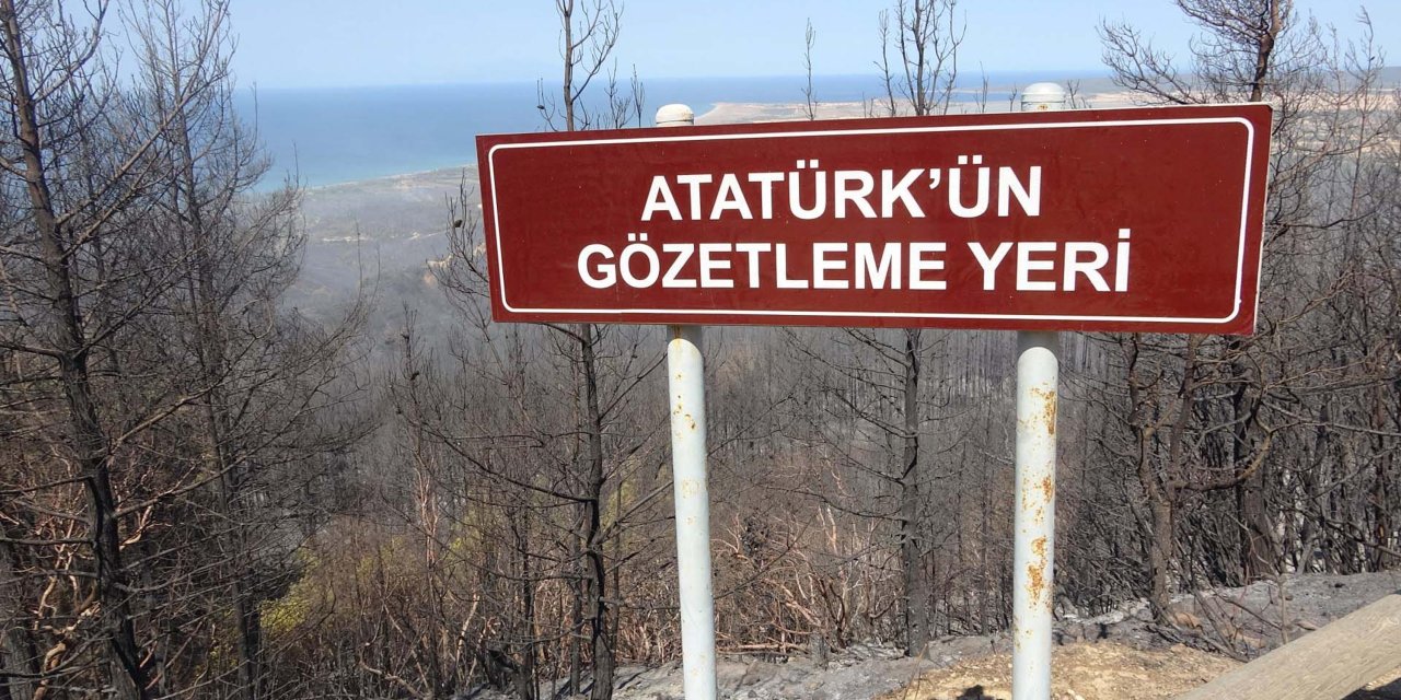 Çanakkale'de Orman Yangını ve Yeniden Açılan Ziyaret Alanları