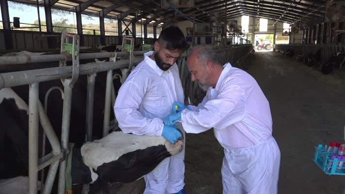 MAKÜ Veteriner Teşhis ve Analiz Laboratuvarı: Hayvancılıkta Yenilikçi Çözümler