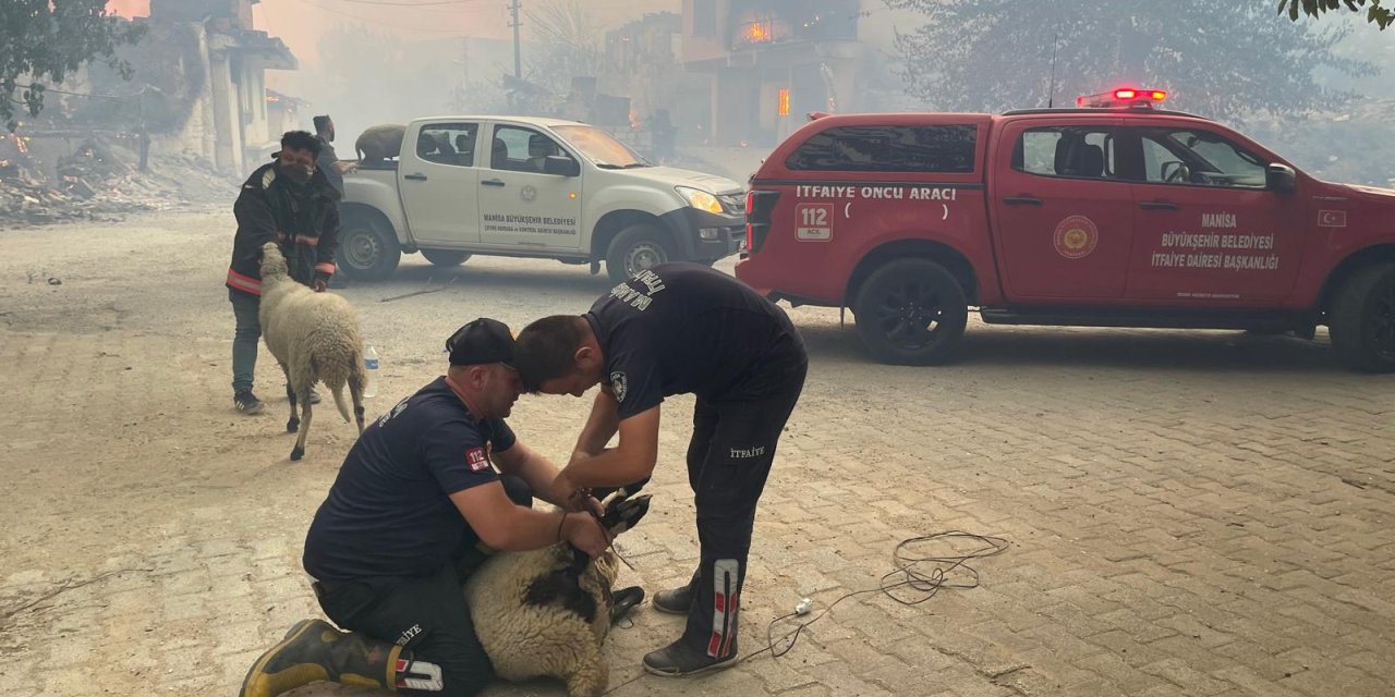 Manisa'da Devam Eden Orman Yangınlarına Müdahale