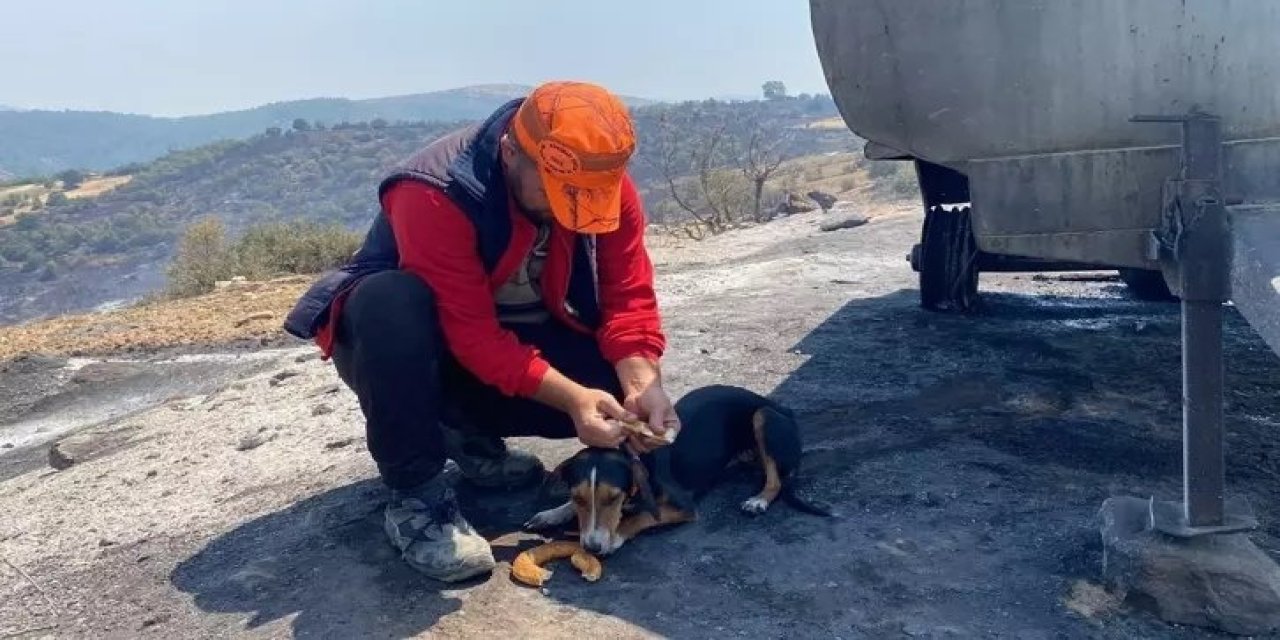 Manisa'daki Orman Yangını: Ümit Yılmaz'ın Acı Kaybı