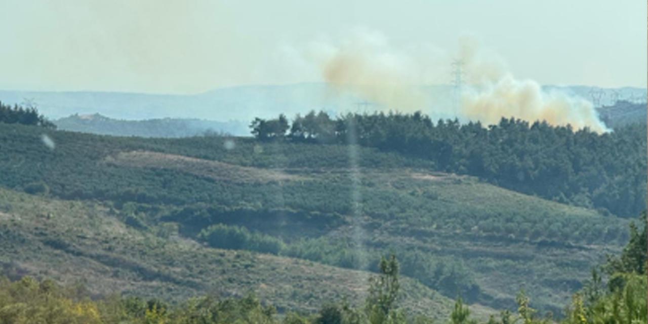 Muğla'da Orman Yangını Kontrol Altına Alınıyor