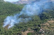 Muğla'nın Milas İlçesinde Büyük Orman Yangını