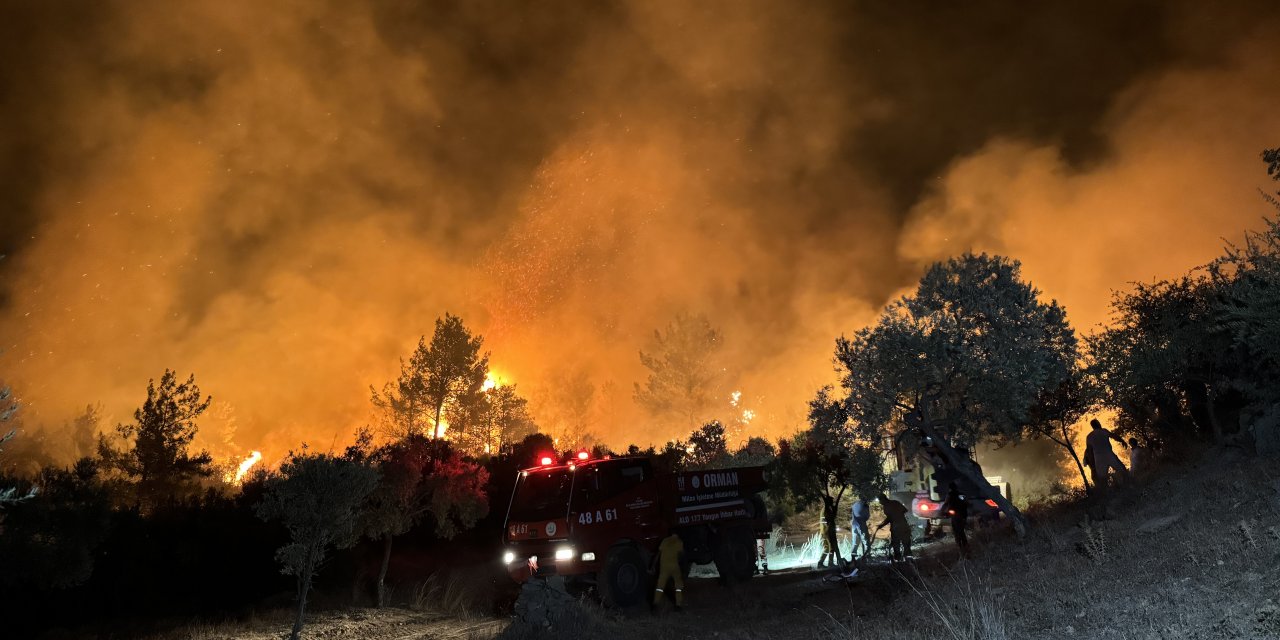 Orman Yangınları ve Zirai Alanlar Üzerine AFAD Açıklaması