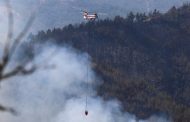 Sakarya'da Fındık Filizlerinin Yakılmasıyla Orman Yangını Çıktı