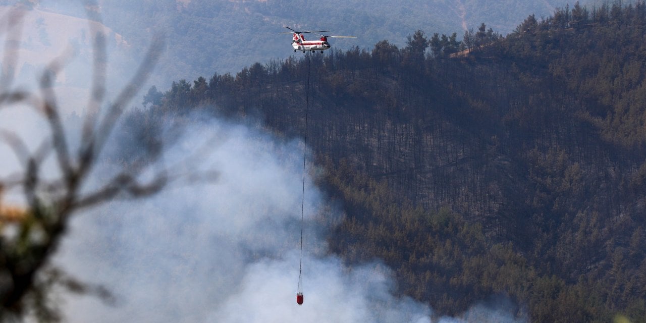 Sakarya'da Fındık Filizlerinin Yakılmasıyla Orman Yangını Çıktı