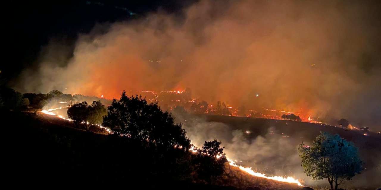 Türkiye'deki Orman Yangınları: İzmir, Manisa, Bolu ve Muğla'daki Durum